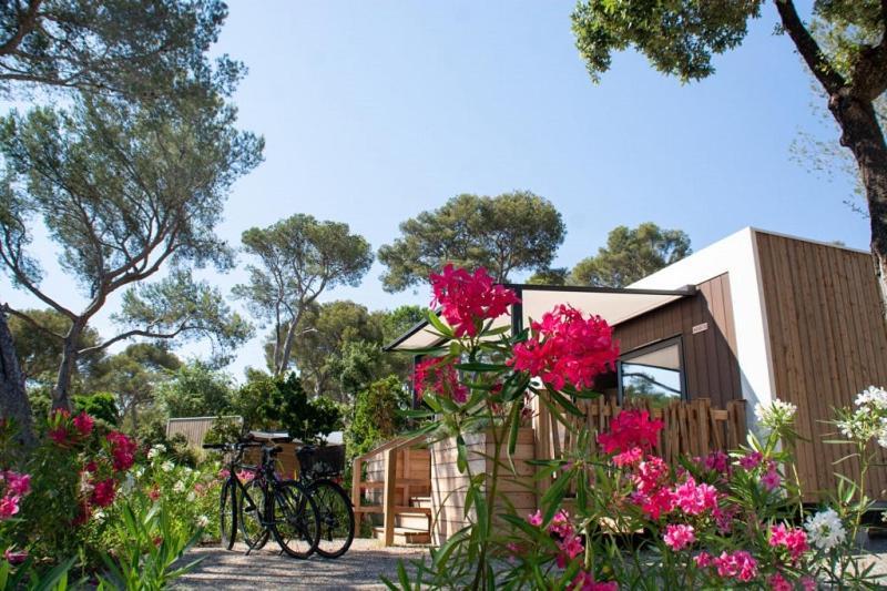 Camping Le Camp Du Domaine Bormes-les-Mimosas Quarto foto